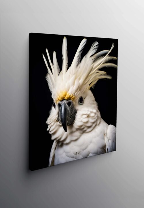 Guacamayo Blanco